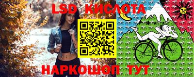 соль ск Шебекино