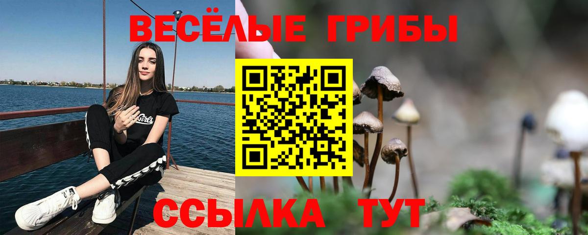 Псилоцибиновые грибы Psilocybine cubensis Санкт-Петербург