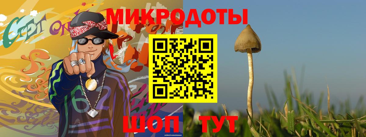 Санкт-Петербург  Галлюциногенные грибы мицелий  купить наркоту  Вход с VPN 